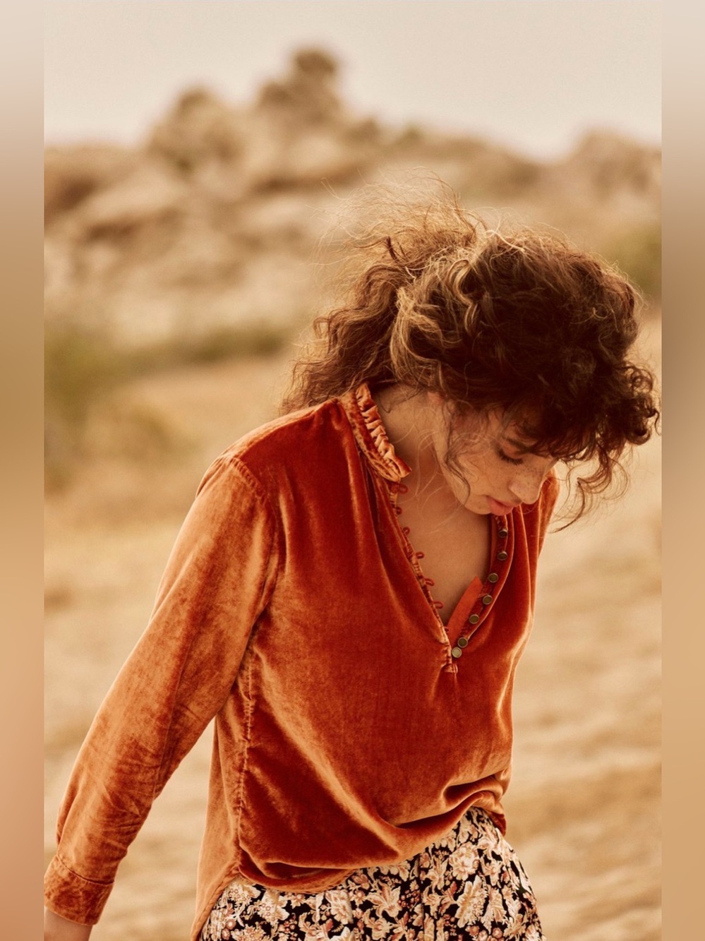 Anthropologie Kristianne Velvet Blouse in Cinnamon (Price Firm) - Picture 3 of 9